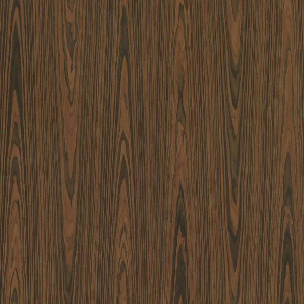Albero 306C Albero 306C