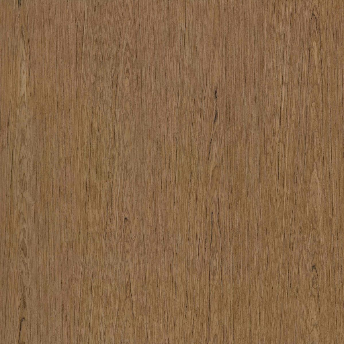 Albero 073C Albero 073C