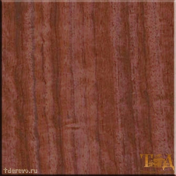 Падук [African Padauk]